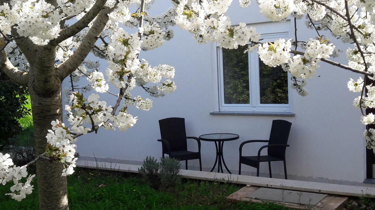 Apartment Greeny Galižana Zewnętrze zdjęcie